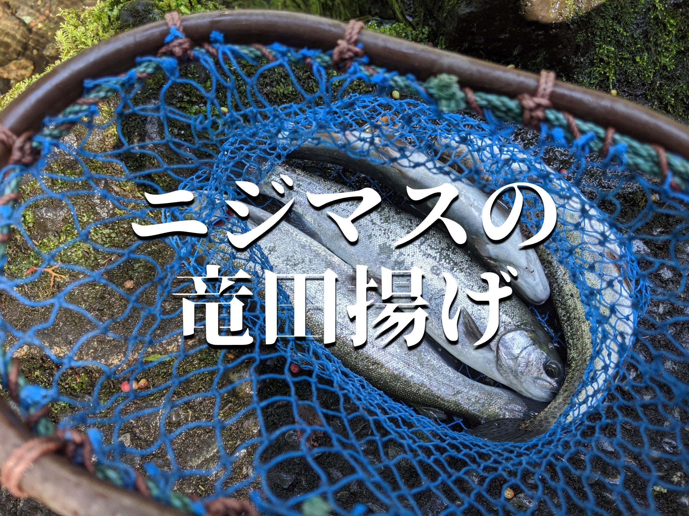 塩焼きだけじゃない ニジマス釣ったら竜田揚げもうまいぞ パルの外遊び